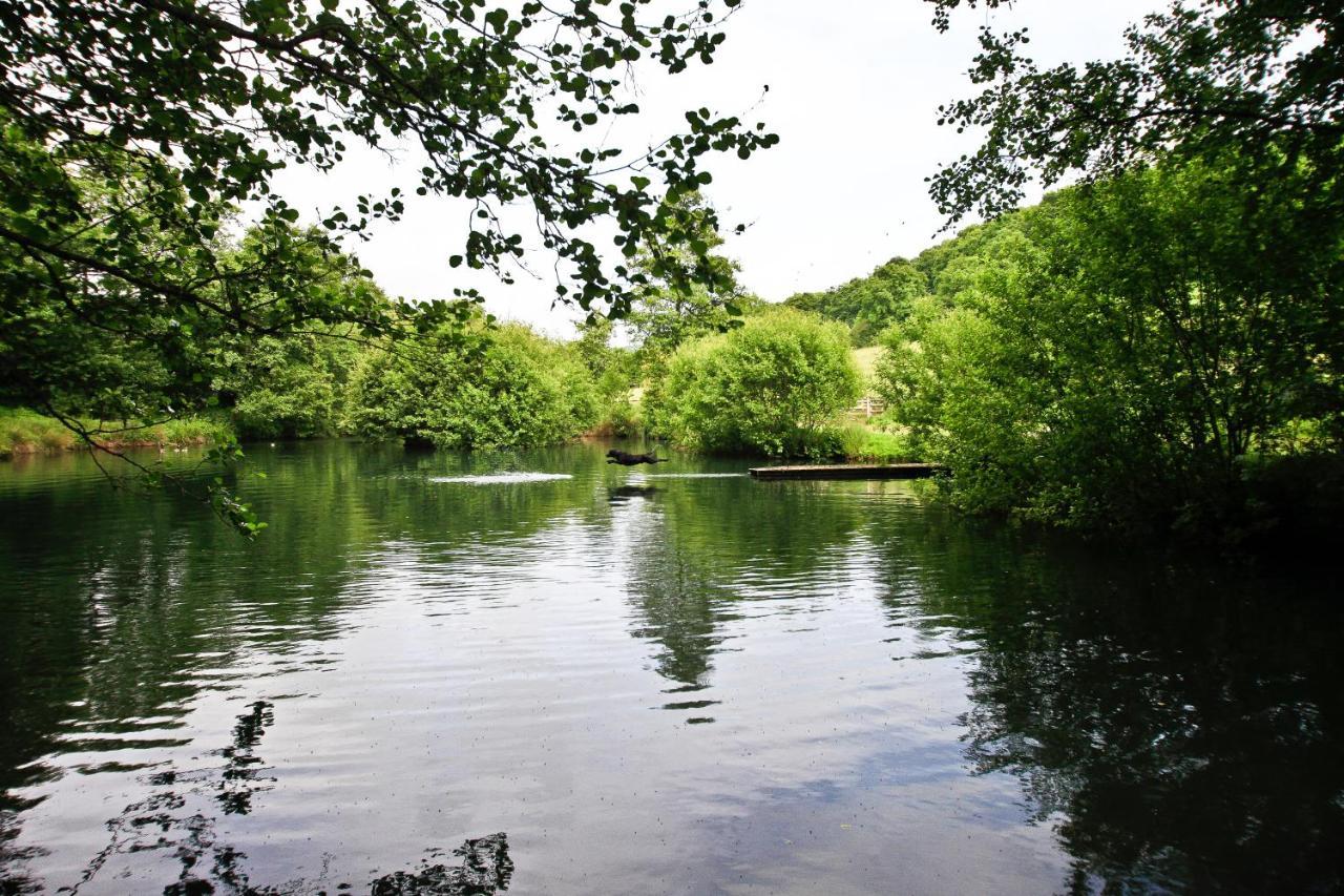 مبيت وإفطار Netherbury Oxbridge Farm المظهر الخارجي الصورة